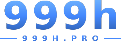 999h logo